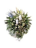 カテゴリー盛籠イメージ