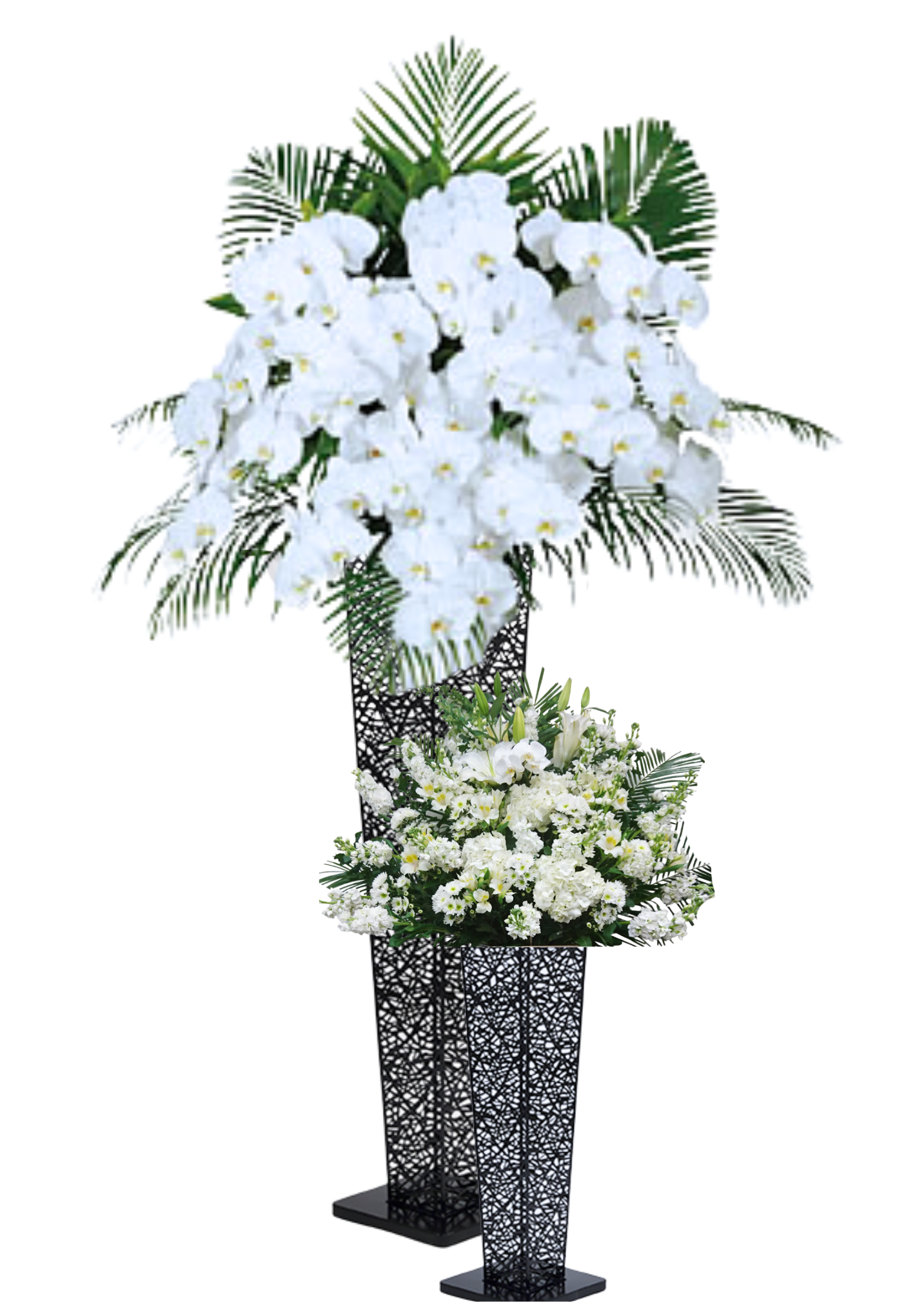 胡蝶蘭スタンド2段