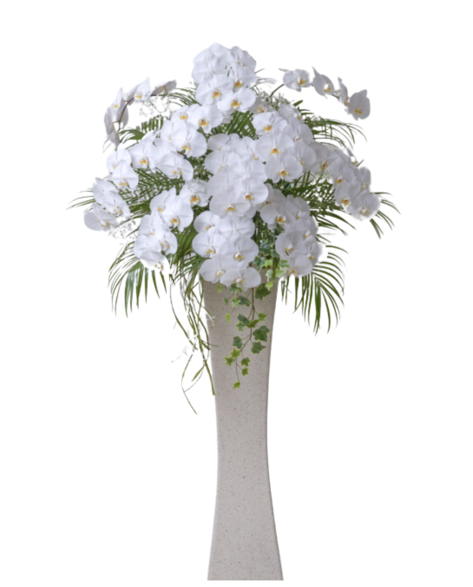 胡蝶蘭スタンド1段