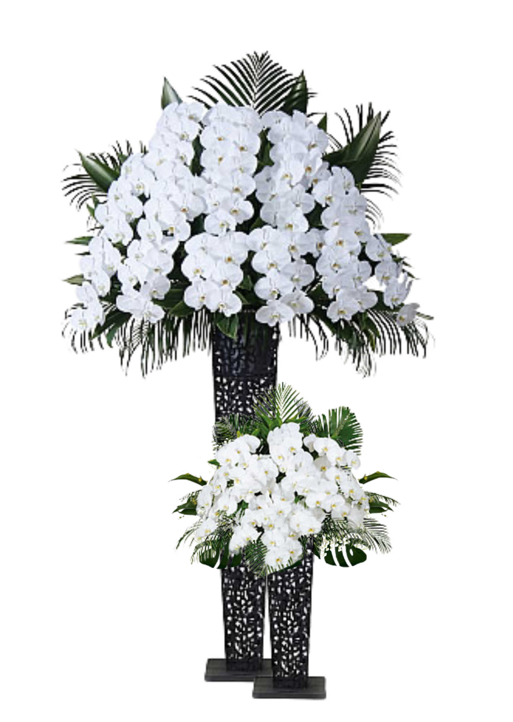 胡蝶蘭スタンド2段